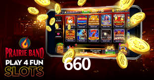 Programa VIP 660